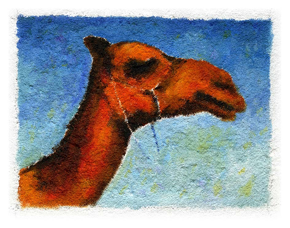 'Trash' dir. Stephen Daldry . Oil painting of camel - commissioned by Abrahams Pants